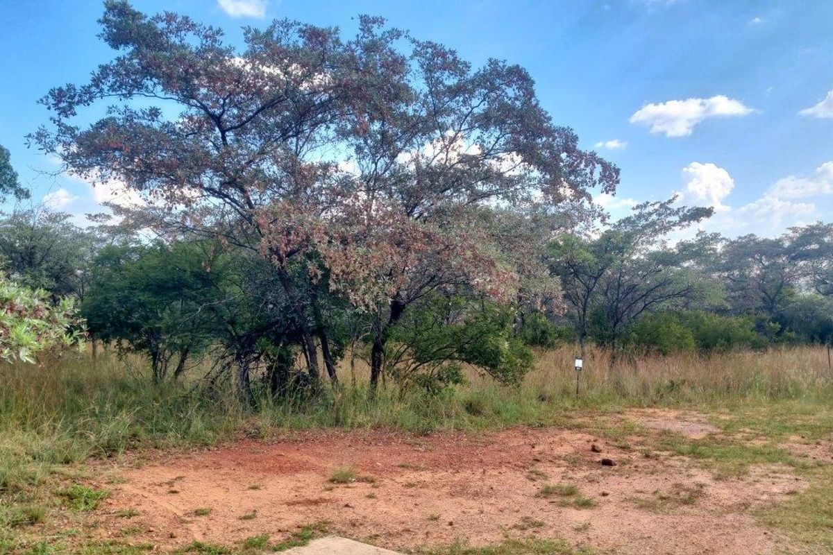 WILDLIFE PARADISE STAND IN THE HEART OF THE BUSHVELD! - Photo 4