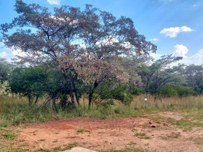 WILDLIFE PARADISE STAND IN THE HEART OF THE BUSHVELD! - Photo 4