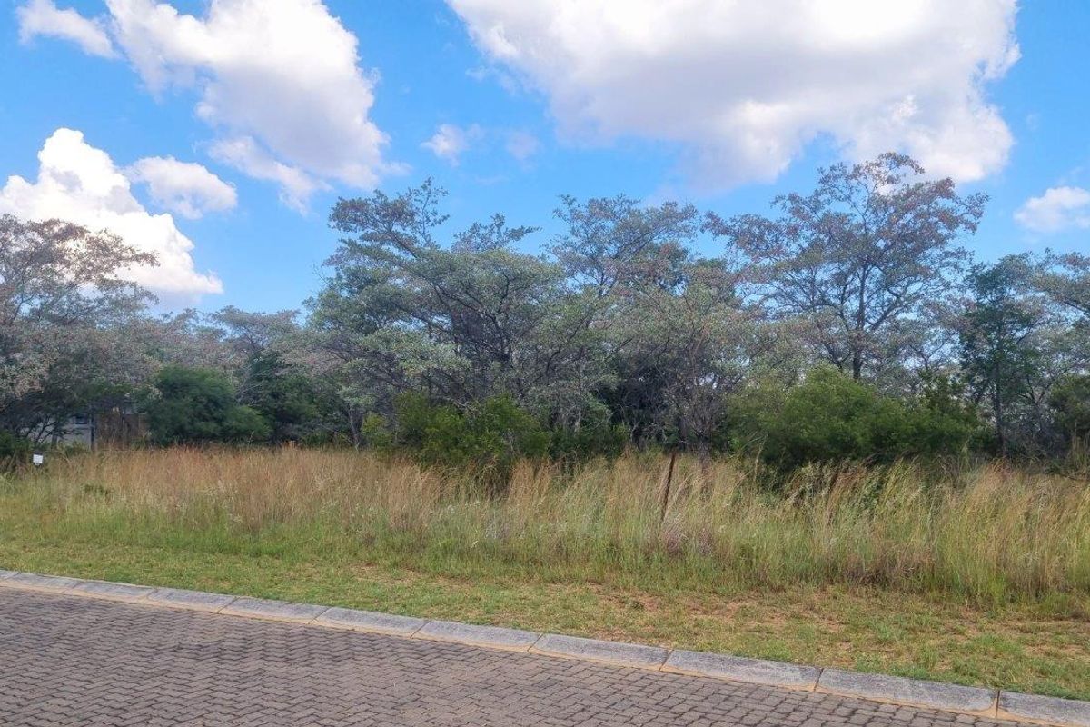 WILDLIFE PARADISE STAND IN THE HEART OF THE BUSHVELD! - Photo 5