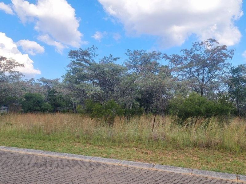 WILDLIFE PARADISE STAND IN THE HEART OF THE BUSHVELD! - Photo 5