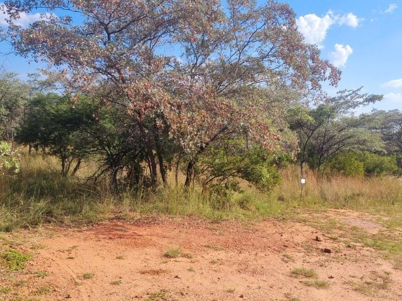 WILDLIFE PARADISE STAND IN THE HEART OF THE BUSHVELD! - Photo 10