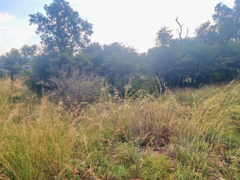 HUGE BUSHVELD STAND NOW ON THE MARKET! - Photo 10