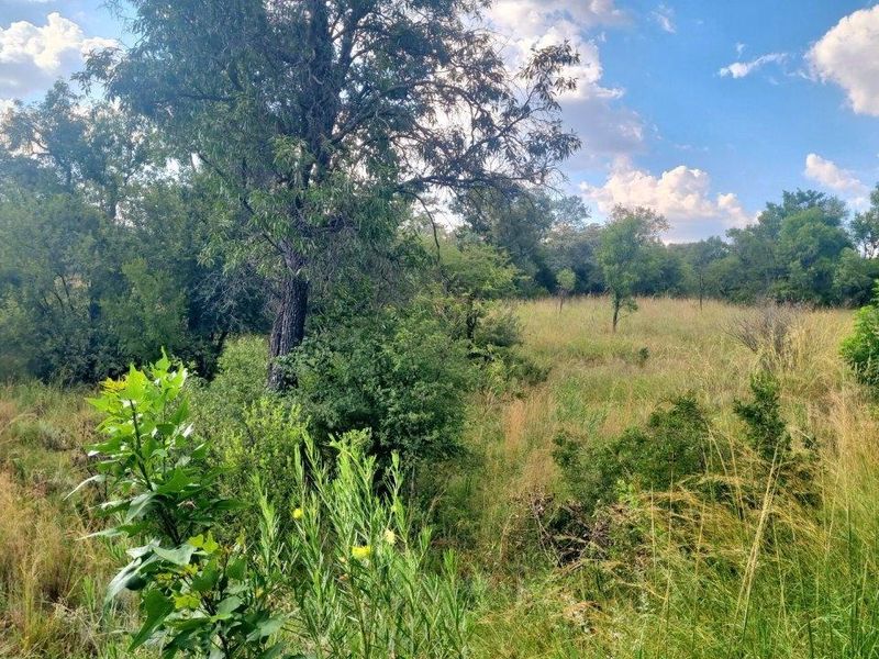 HUGE BUSHVELD STAND NOW ON THE MARKET! - Photo 8