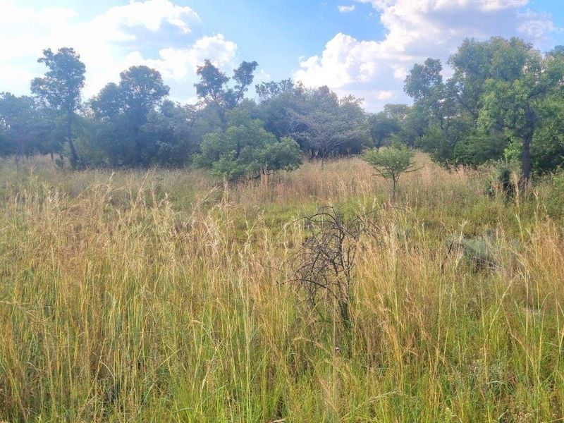 HUGE BUSHVELD STAND NOW ON THE MARKET! - Photo 6