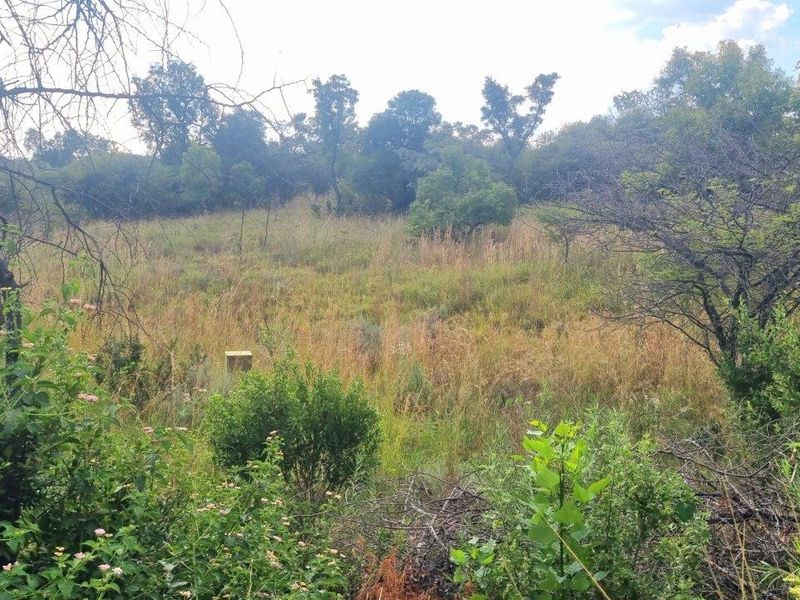 HUGE BUSHVELD STAND NOW ON THE MARKET! - Photo 7