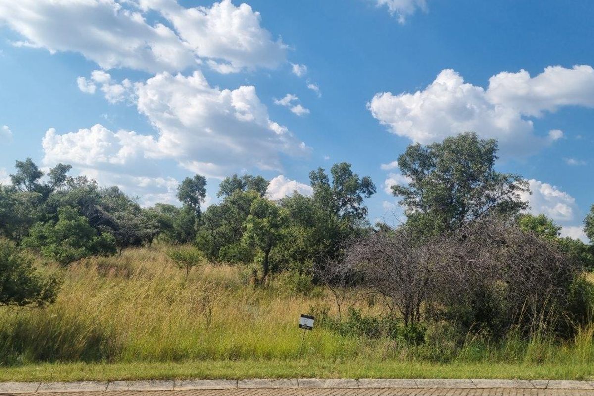 HUGE BUSHVELD STAND NOW ON THE MARKET! - Photo 3