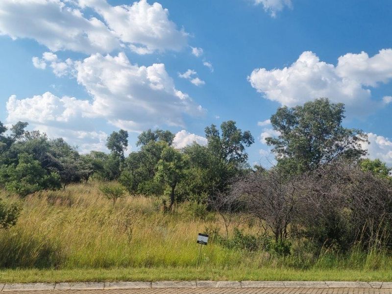 HUGE BUSHVELD STAND NOW ON THE MARKET! - Photo 3