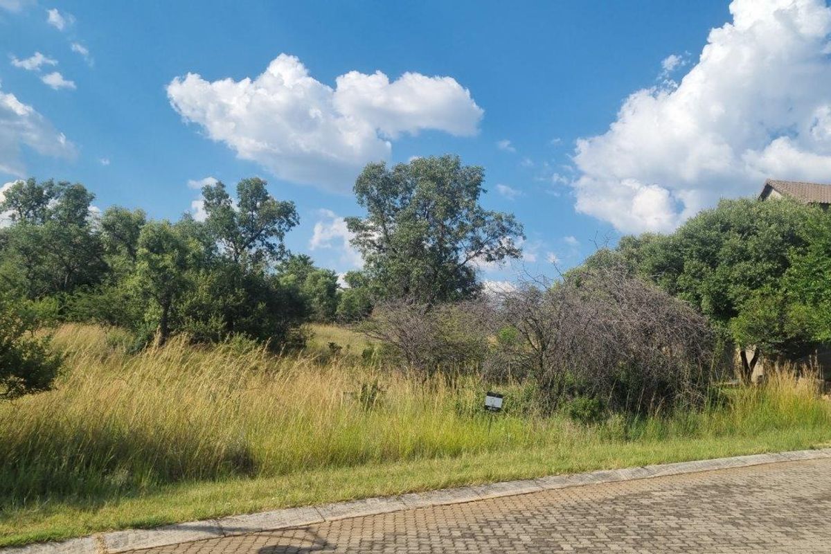 HUGE BUSHVELD STAND NOW ON THE MARKET! - Photo 5