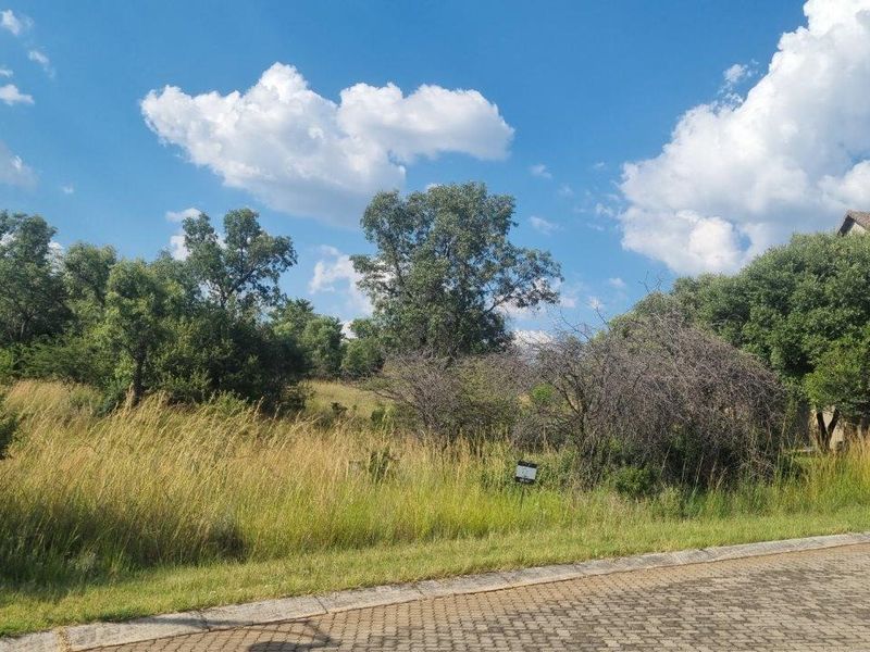 HUGE BUSHVELD STAND NOW ON THE MARKET! - Photo 5