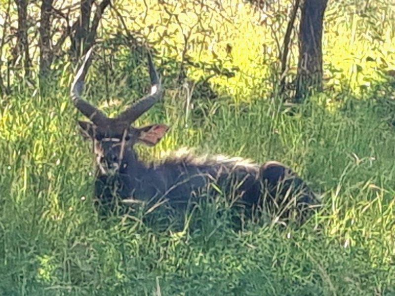 Stunning stand with exceptional views! - Photo 8