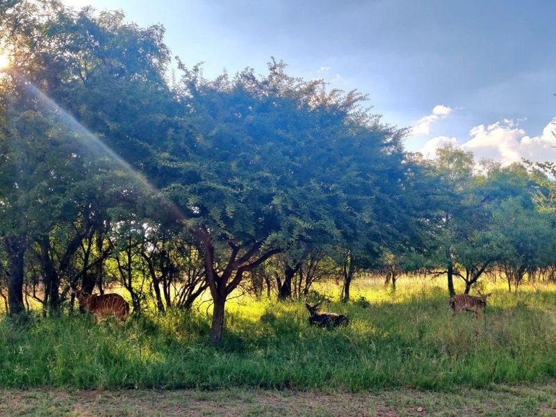 Stunning stand with exceptional views! - Photo 7