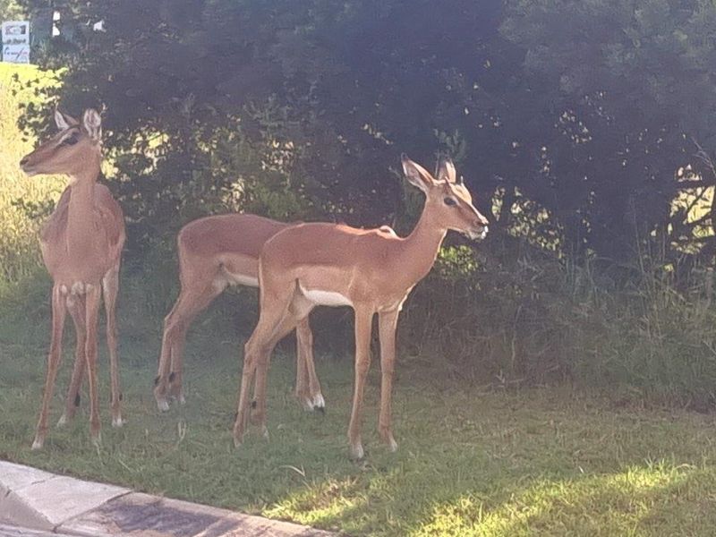 Stunning stand with exceptional views! - Photo 3
