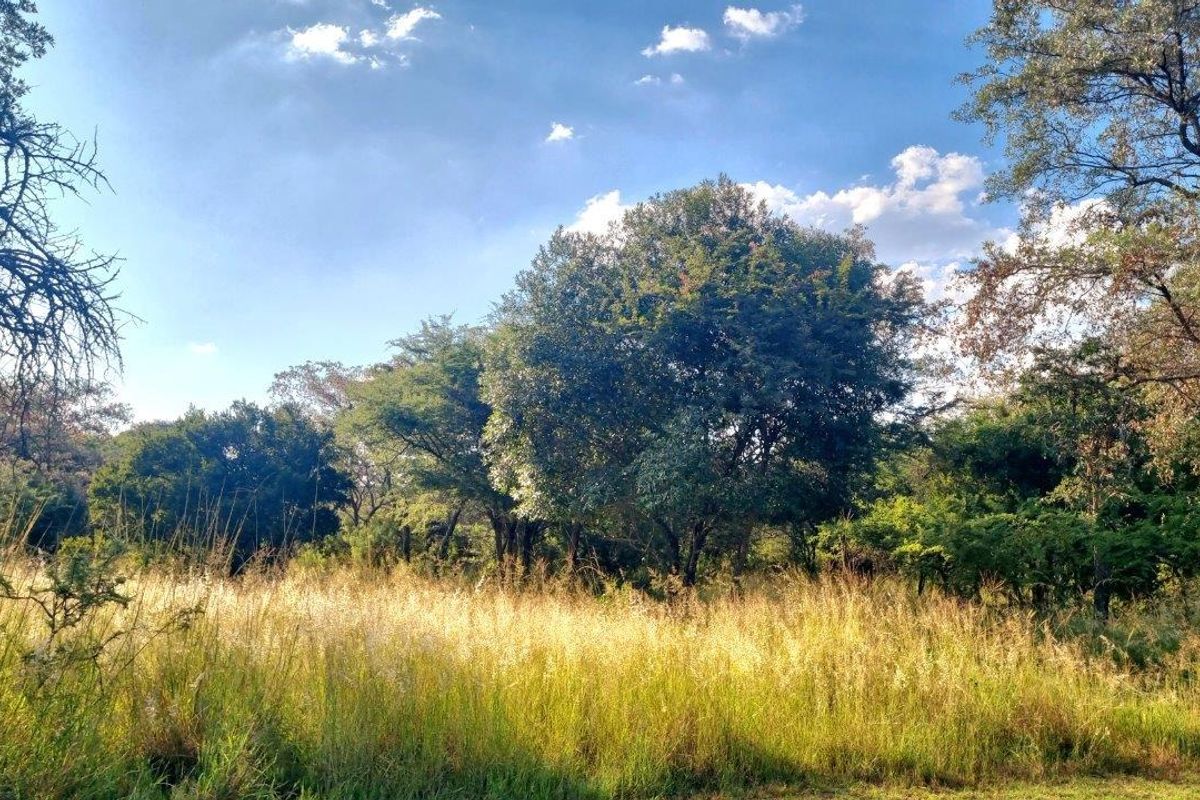 Stunning stand with exceptional views! - Photo 4
