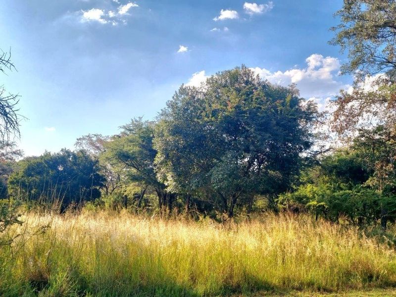 Stunning stand with exceptional views! - Photo 4