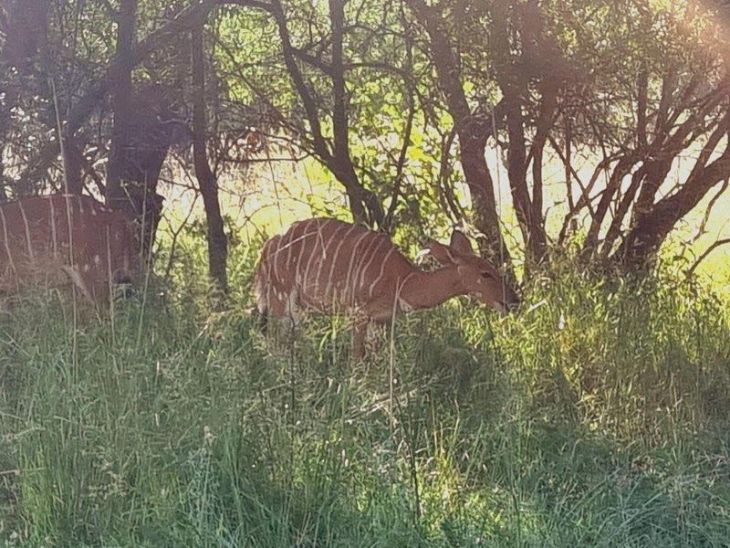 Stunning stand with exceptional views! - Photo 5