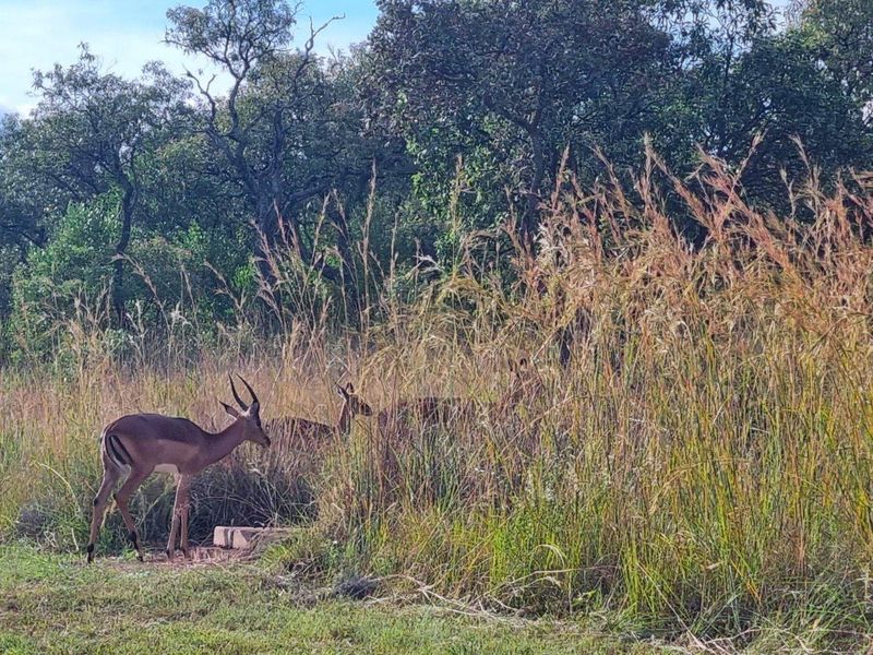 YOUR LEGACY AWAITS ON THE MOUNTAIN-BE THE ENVY OF ALL YOUR FRIENDS - Photo 6