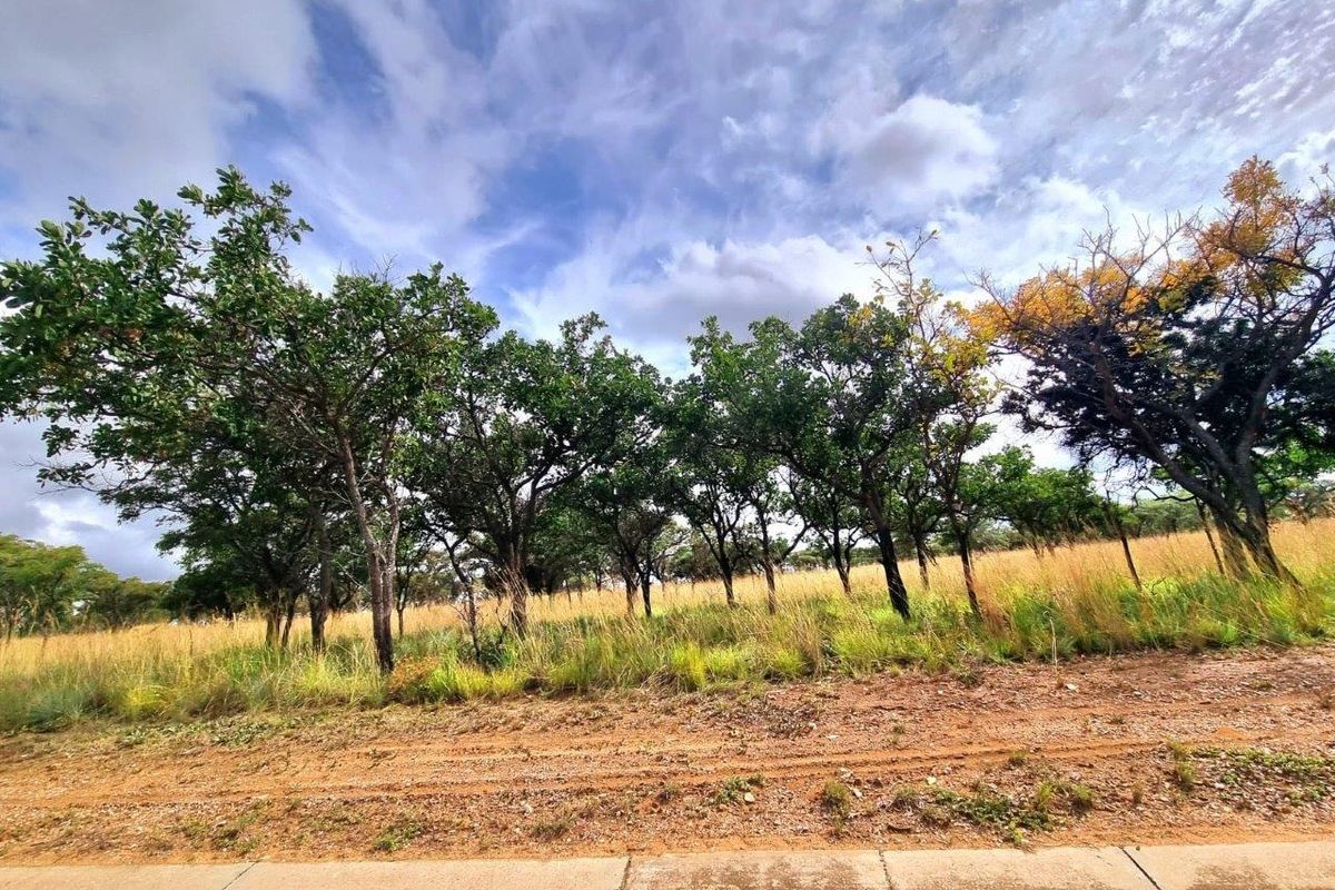 Euphoria’s Tranquil Oasis: A Blank Canvas Awaits - Photo 3