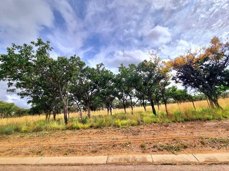 Euphoria’s Tranquil Oasis: A Blank Canvas Awaits - Photo 3