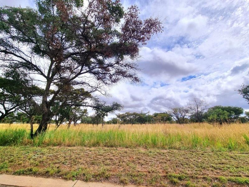 Euphoria’s Tranquil Oasis: A Blank Canvas Awaits - Photo 6