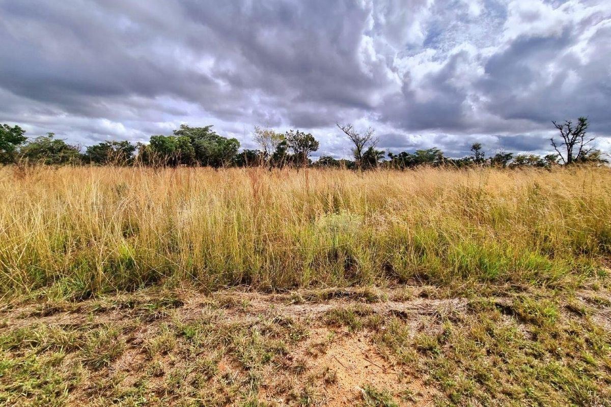 Euphoria’s Tranquil Oasis: A Blank Canvas Awaits - Photo 2