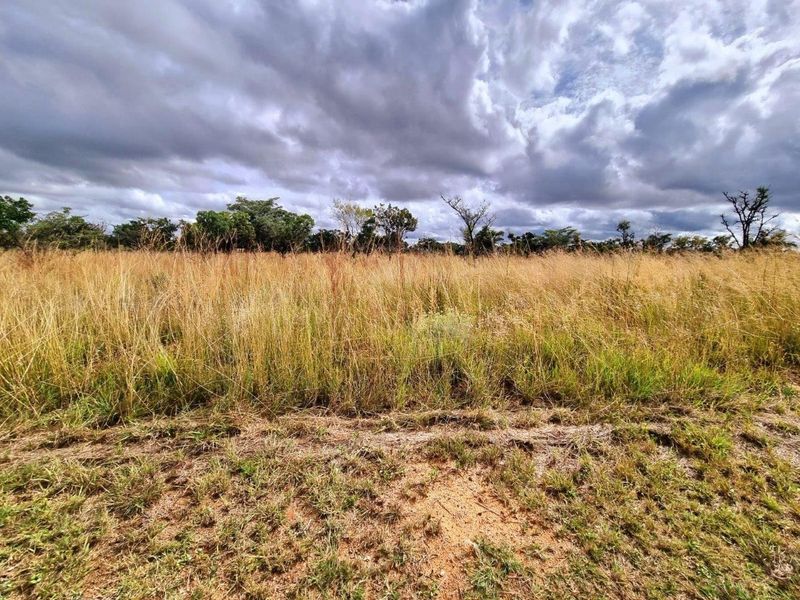 Euphoria’s Tranquil Oasis: A Blank Canvas Awaits - Photo 2