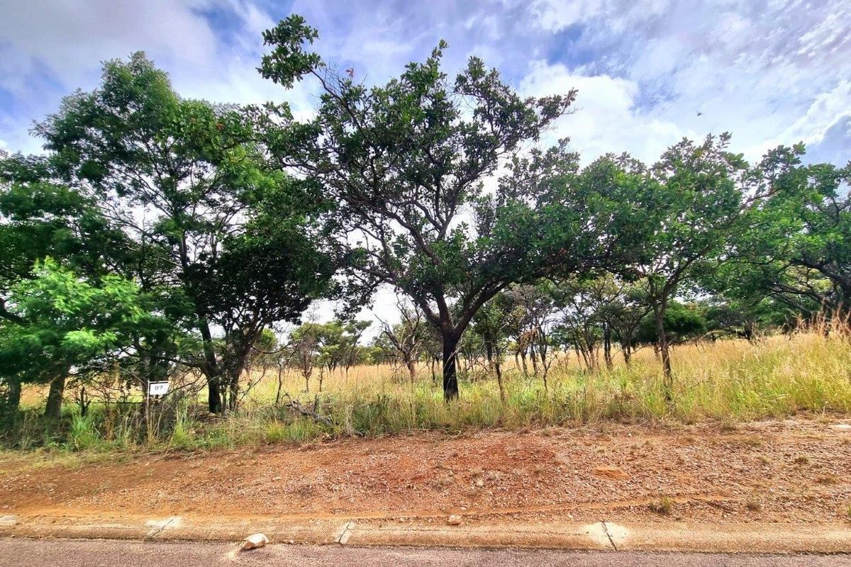 Euphoria’s Tranquil Oasis: A Blank Canvas Awaits - Photo 4