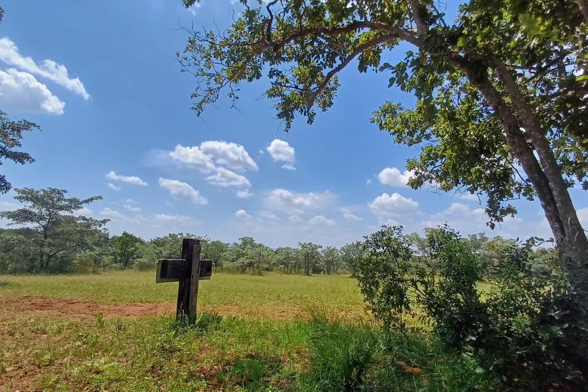 WATERBERG/NABOOMSPRUIT PREMIER FARM - A BUSINESS OF AGRICULTURAL RICHNESS AND NATURAL SPLENDOR - Photo 4