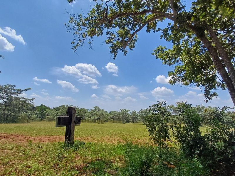 WATERBERG/NABOOMSPRUIT PREMIER FARM - A BUSINESS OF AGRICULTURAL RICHNESS AND NATURAL SPLENDOR - Photo 4