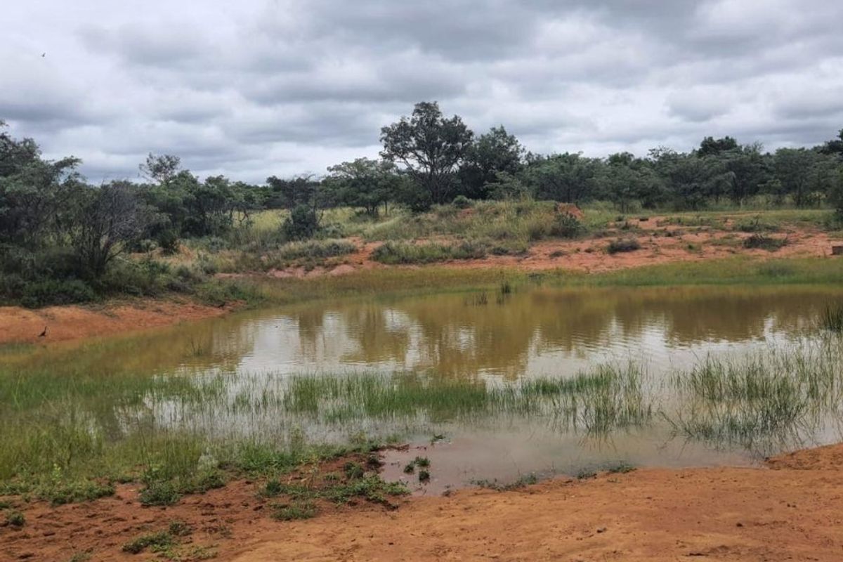 WATERBERG/NABOOMSPRUIT PREMIER FARM - A BUSINESS OF AGRICULTURAL RICHNESS AND NATURAL SPLENDOR - Photo 3