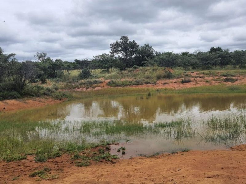 WATERBERG/NABOOMSPRUIT PREMIER FARM - A BUSINESS OF AGRICULTURAL RICHNESS AND NATURAL SPLENDOR - Photo 3