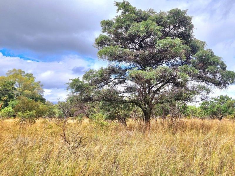 PREMIER MOUNTAIN ESTATE STANDS - A UNIQUE 12900M2 OPPORTUNITY - Photo 6