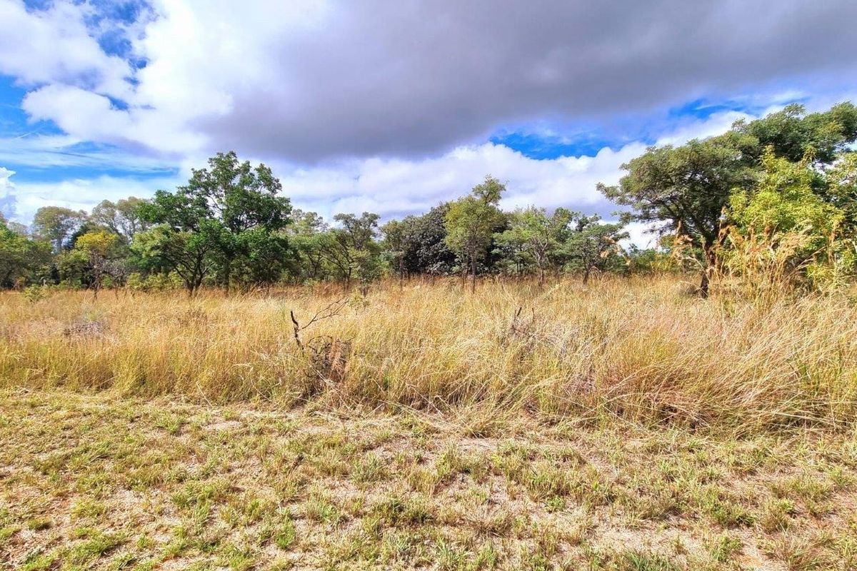 PREMIER MOUNTAIN ESTATE STANDS - A UNIQUE 12900M2 OPPORTUNITY - Photo 5