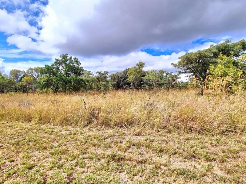 PREMIER MOUNTAIN ESTATE STANDS - A UNIQUE 12900M2 OPPORTUNITY - Photo 5