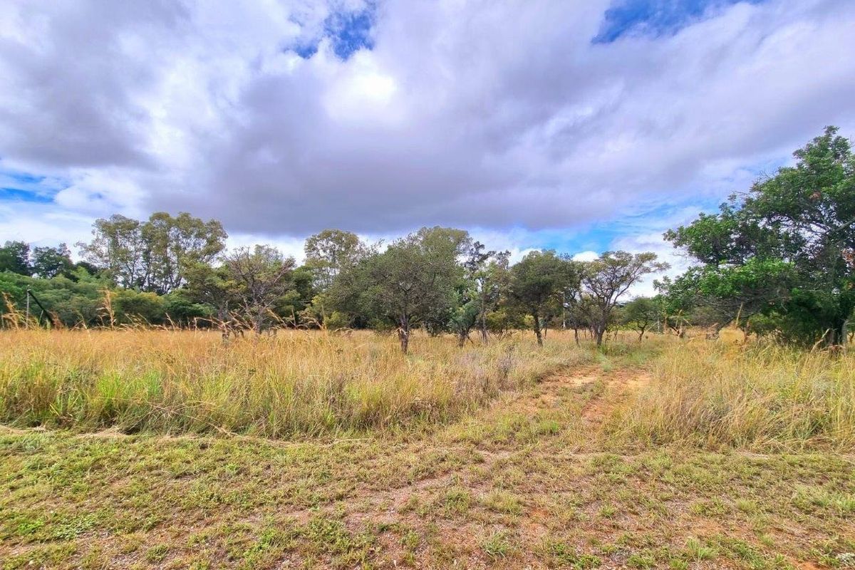 PREMIER MOUNTAIN ESTATE STANDS - A UNIQUE 12900M2 OPPORTUNITY - Photo 3