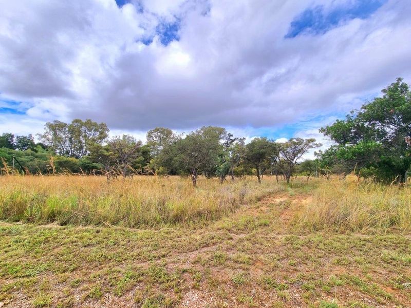 PREMIER MOUNTAIN ESTATE STANDS - A UNIQUE 12900M2 OPPORTUNITY - Photo 3