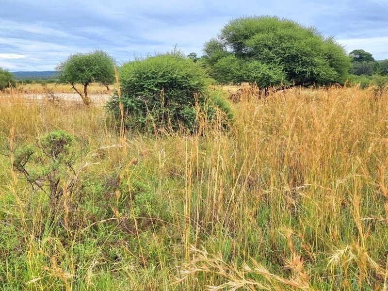 Rare Opportunity: Exclusive Vacant Land at The Orchards Retirement Village, Euphoria Golf Estate - Photo 7