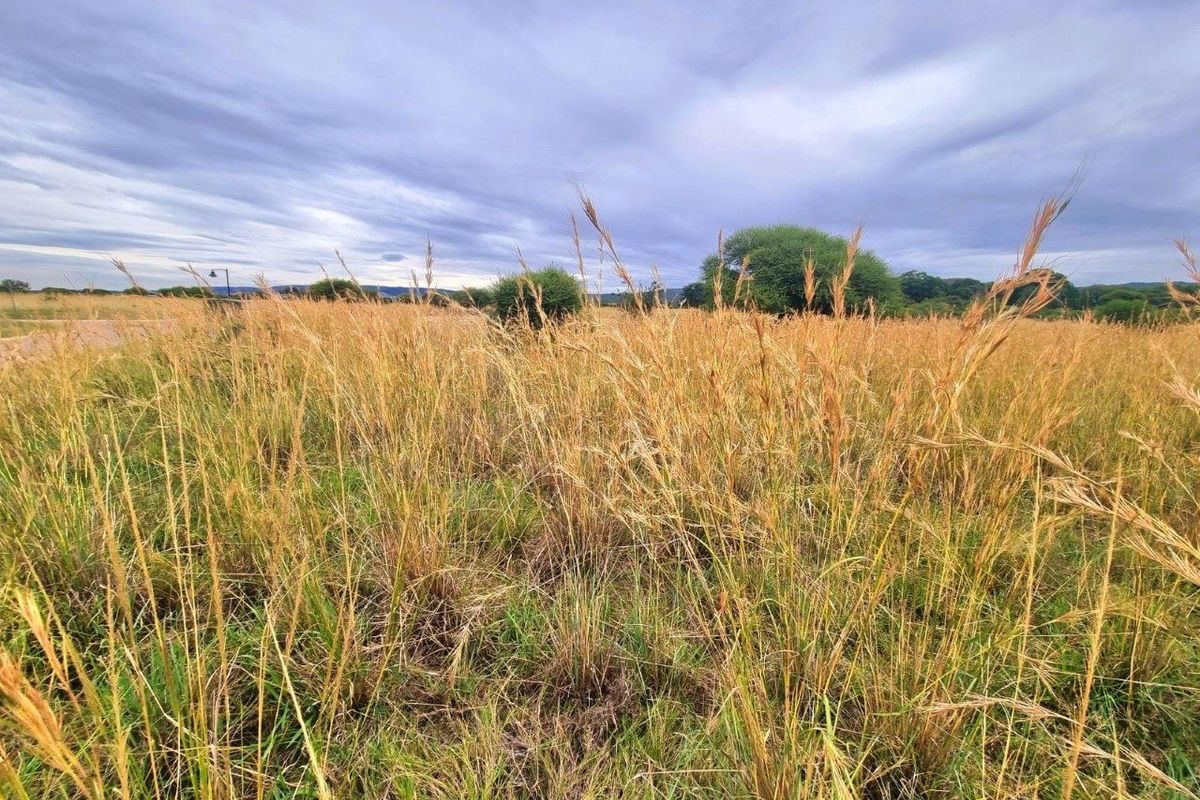 Rare Opportunity: Exclusive Vacant Land at The Orchards Retirement Village, Euphoria Golf Estate - Photo 2