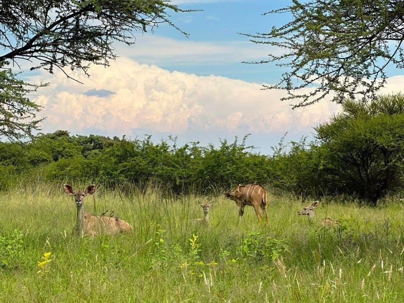 Premium Unoccupied Land at The Orchards Retirement Village - Photo 8