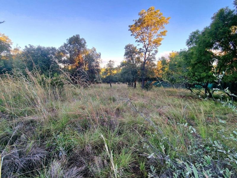 A view of the vacant residential land featuring natural vegetation, tall grasses, and mature trees across the property.