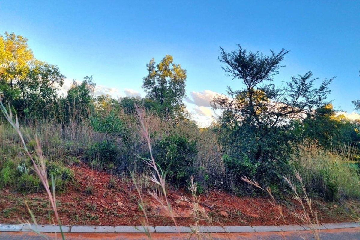 A view of a vacant residential plot featuring natural vegetation, indigenous trees, and a paved road frontage.