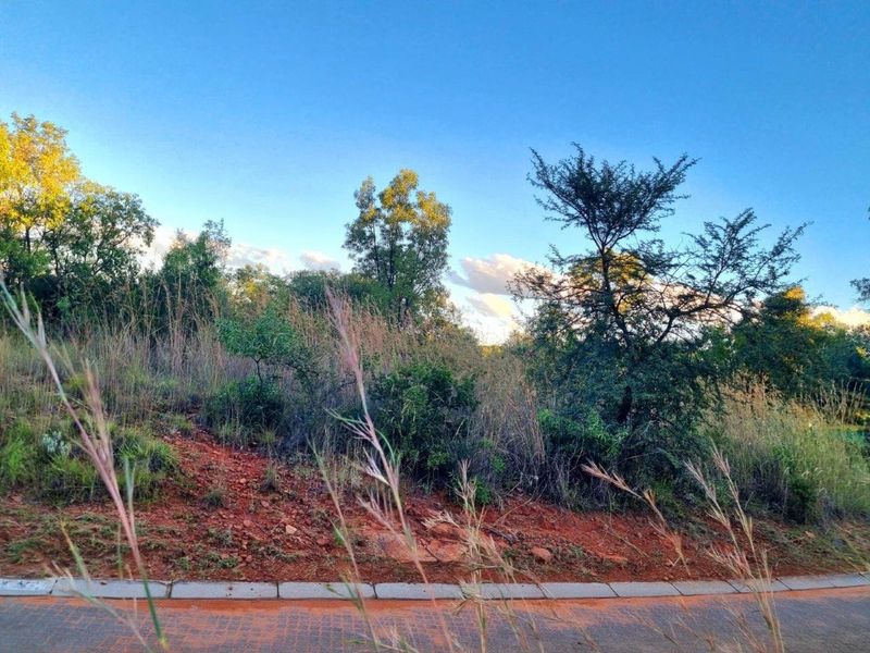 A view of a vacant residential plot featuring natural vegetation, indigenous trees, and a paved road frontage.