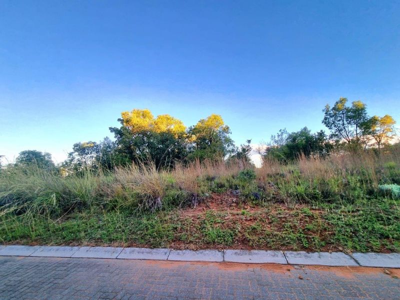 A vacant residential plot featuring natural vegetation, mature trees, and a paved street frontage, offering a blank canvas for future development.