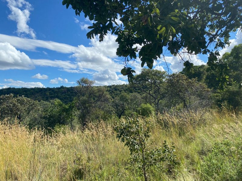 Euphoria’s Hidden Gem: A Symphony of Nature - Photo 6