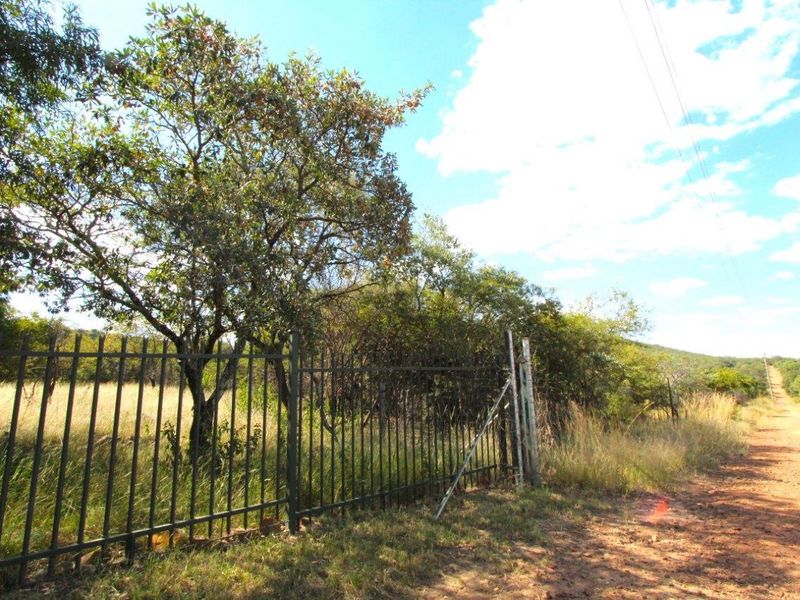 BARGAIN - ESCAPE TO NATURE'S EMBRACE-YOUR FARM RETREAT AMIDST ABUNDANT WILDLIFE IN MODIMOLE - Photo 10