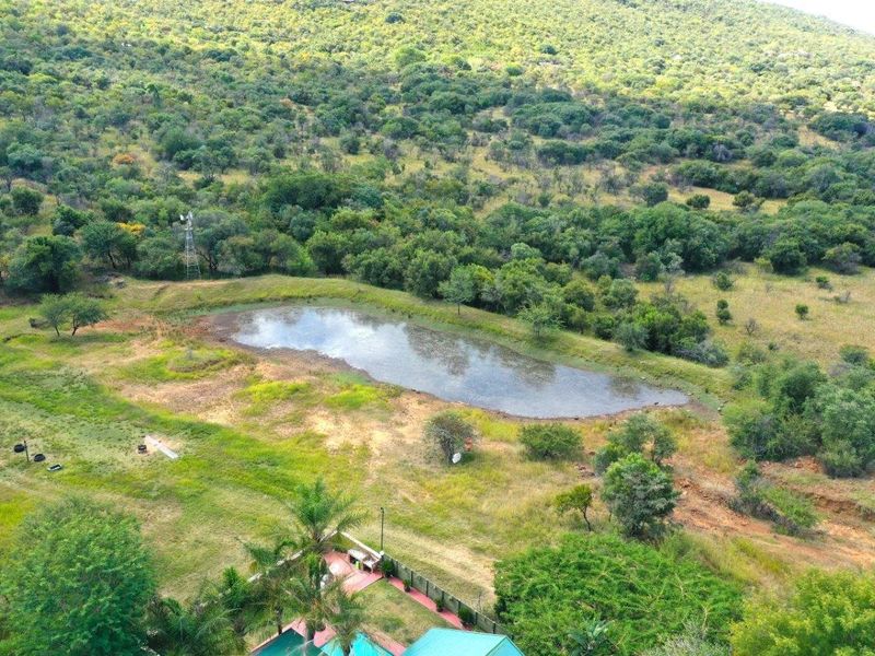 BARGAIN - ESCAPE TO NATURE'S EMBRACE-YOUR FARM RETREAT AMIDST ABUNDANT WILDLIFE IN MODIMOLE - Photo 8