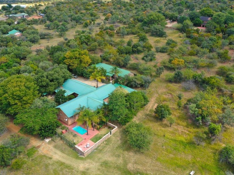 BARGAIN - ESCAPE TO NATURE'S EMBRACE-YOUR FARM RETREAT AMIDST ABUNDANT WILDLIFE IN MODIMOLE - Photo 7