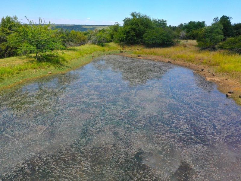 BARGAIN - ESCAPE TO NATURE'S EMBRACE-YOUR FARM RETREAT AMIDST ABUNDANT WILDLIFE IN MODIMOLE - Photo 6