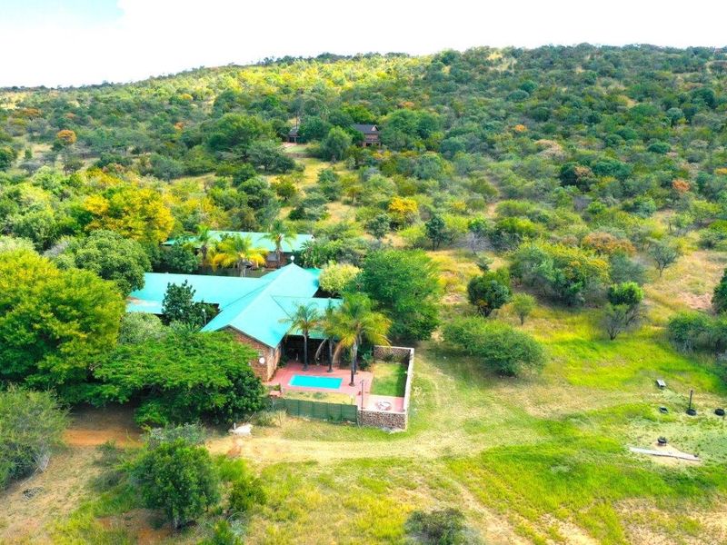 BARGAIN - ESCAPE TO NATURE'S EMBRACE-YOUR FARM RETREAT AMIDST ABUNDANT WILDLIFE IN MODIMOLE - Photo 4