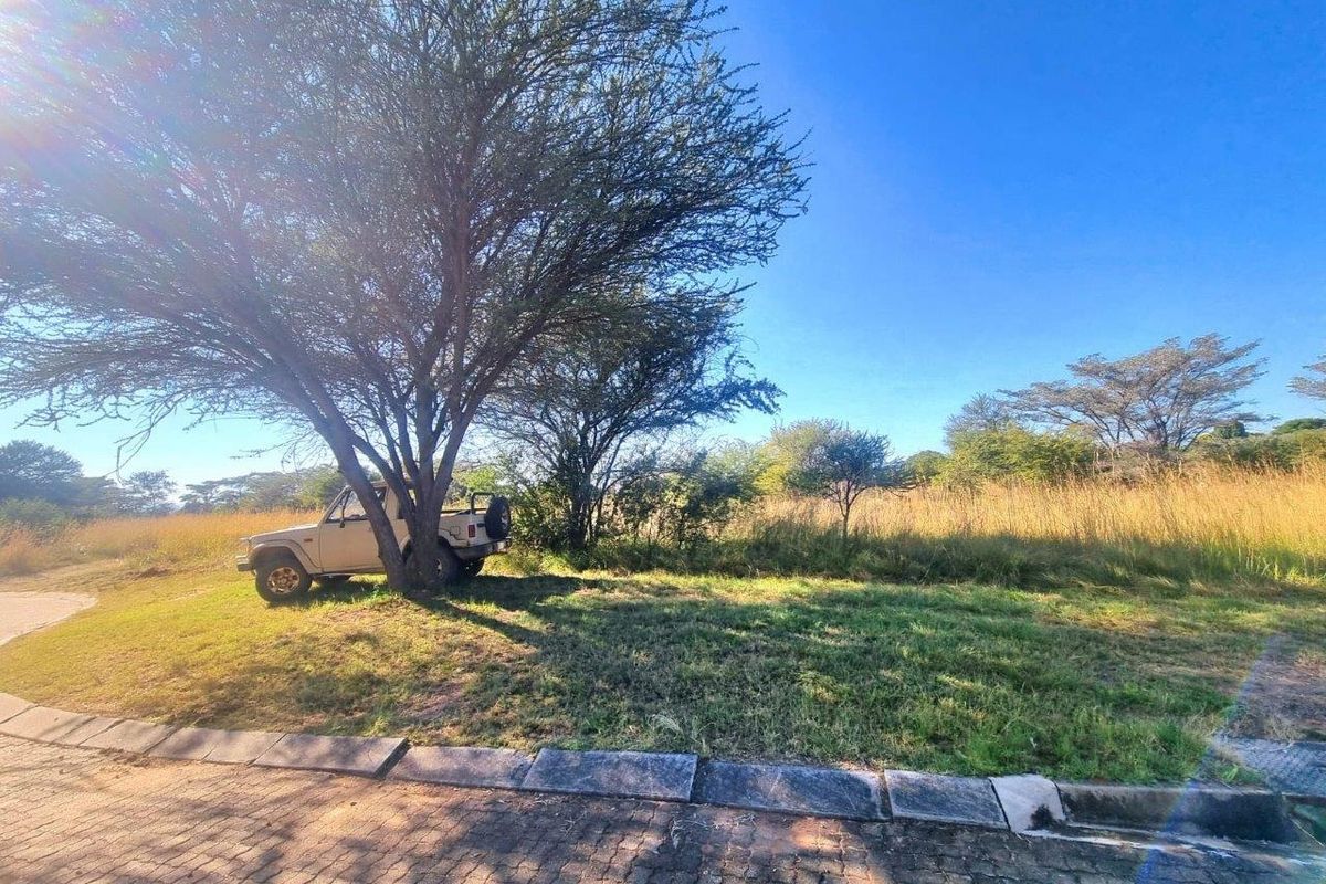 Investment Gem: Prime Land with Unmatched Bushveld Appeal! - Photo 3