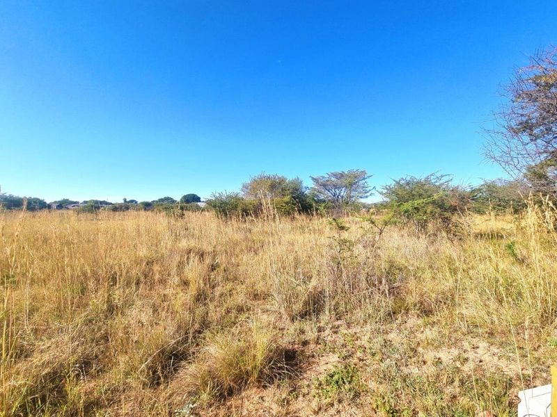 A view of the vacant residential land featuring natural grass cover and scattered indigenous trees under a clear blue sky.